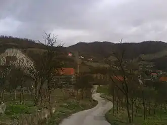 Grahovčići