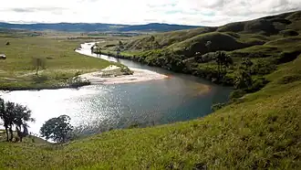 Savane humide, parc national de Gran Sabana, Bolivar.