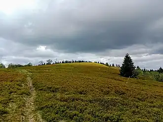 Le sommet du Grand Ventron depuis le sud.