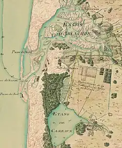 carte dessinée de 1774, figurant le bassin d'Arcachon au nord, l'étang de Cazaux au sud, l'océan à l'ouest et au centre la forêt.