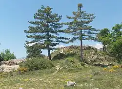 Grande Tour de Badabanys