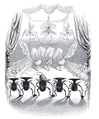 Pas de trois, chapitre « Le royaume des marionnettes ».