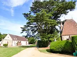 La grange « dîmière » et un cèdre remarquable.