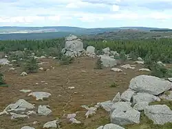 Paysage de landes, chaos granitiques et forêts de conifères.
