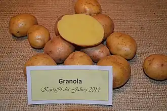 Image illustrative de l’article Granola (pomme de terre)