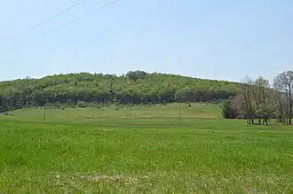 Grant Township (Pennsylvanie)