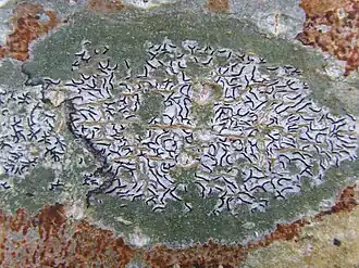 Description de cette image, également commentée ci-après