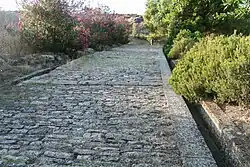 Rue grecque du IIIe&nbsp;siècle av. J.-C. à Élée, Italie.