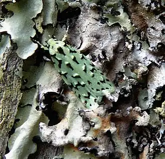 Description de cette image, également commentée ci-après