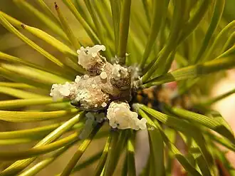 Description de cette image, également commentée ci-après