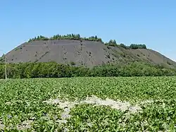 Le terril no&nbsp;58A.