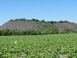 Terril plat du lavoir de Mazingarbe de la Compagnie des mines de Béthune.
