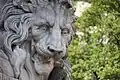 Détail : le lion