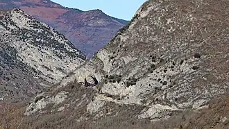 voir la légende ci-après