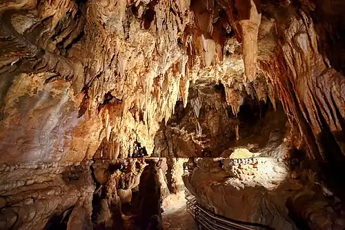 Concrétions de gours (lacs) dans la grotte de Sainte Lucie Inférieure.