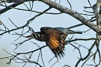 Description de cette image, également commentée ci-après