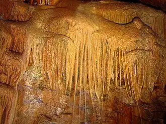 Forme intermédiaire entre stalactites et voiles (Portugal).
