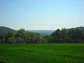 Image illustrative de l’article Warndt