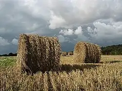 Le temps de la moisson.