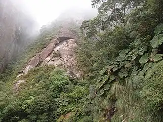 Description de cette image, également commentée ci-après