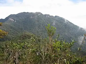 Vue du mont Tahan en Malaisie, point culminant de la chaîne Tenasserim avec 2187 mètres d'altitude.