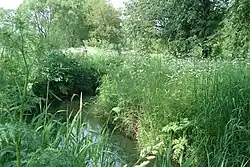 La Gouslitsa à Iegorievsk.