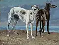 Les Greyhounds du Comte de Choiseul de Gustave Courbet, 1866.