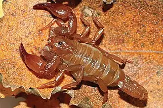 Description de cette image, également commentée ci-après