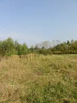 Le puits dans son environnement.