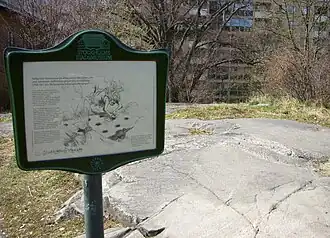 Panneau d'information du musée de la ville de Stockholm sur les cupules.