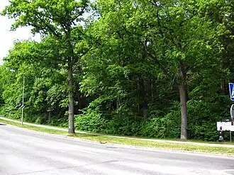 Image illustrative de l’article Höglandsparken