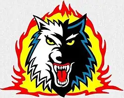 Description de l'image HC Vlci Jablonec.jpg.