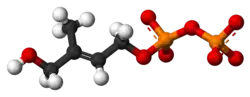 Image illustrative de l’article (E)-4-Hydroxy-3-méthyl-but-2-ényl-pyrophosphate
