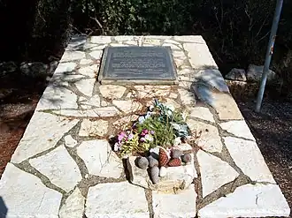 illustration de HMS Perseus (N36)