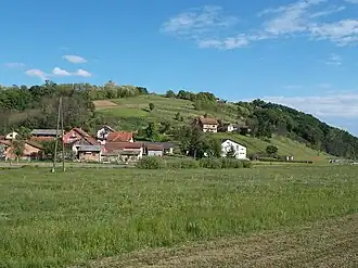 Mače