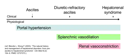 Diagram showing hypothesized correlation between clinical features and pathophysiology of ascites and hepatorenal syndrome.