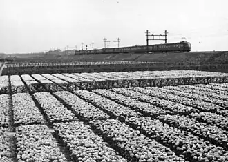 Couplage d'une ElD5 et de deux Mat '36 triples (1954).