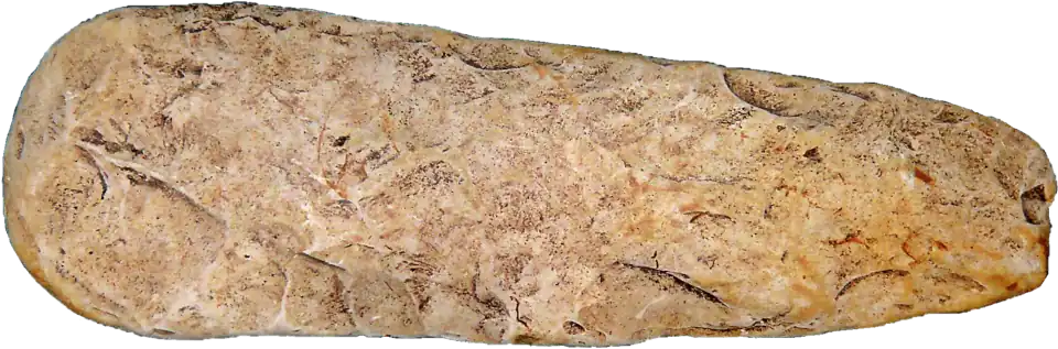 Hache en pierre partiellement polie : la phase de façonnage est encore perceptible.