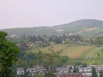 Vue depuis le parc du Dr.-Meißner.