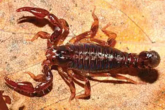 Description de cette image, également commentée ci-après