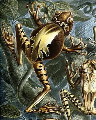 Description de cette image, également commentée ci-après