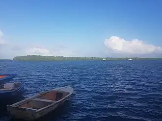 Haie Bebel dans les îlets de Carénage