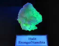 Fluorescence de la halite d'Erongo, Namibie. Musée minéralogique de Bonn.