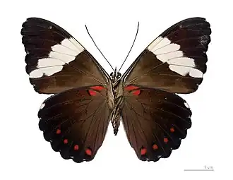 Description de cette image, également commentée ci-après