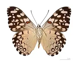 Description de cette image, également commentée ci-après