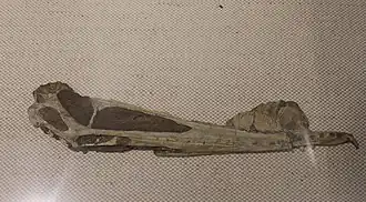 Description de cette image, également commentée ci-après