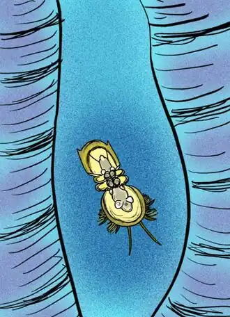 Description de cette image, également commentée ci-après