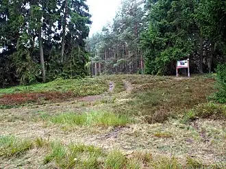 Image illustrative de l’article Tombe du cavalier de Hankenbostel