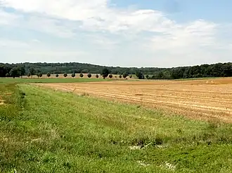 Vue d'une partie des buttes de Rosne depuis l'est.