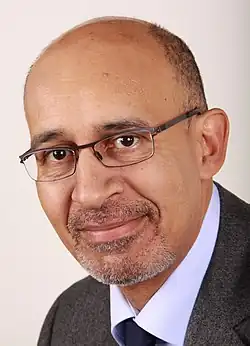 Harlem Désir(2012-2014)